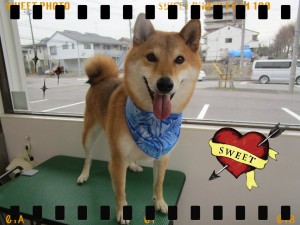 20180319ジャスティン